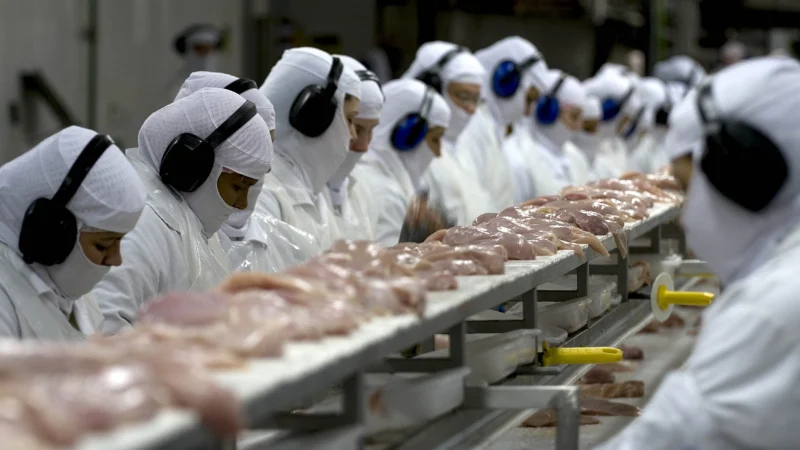 Exportação no Estado tem alta de 4,8% neste ano
