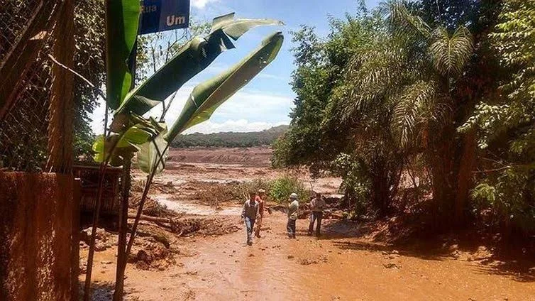 Pelo Estado – coluna fala da tragédia de Brumadinho – MG
