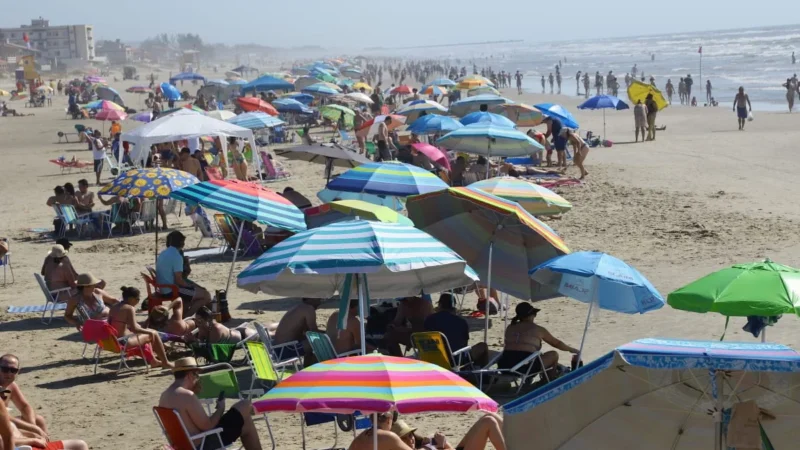 Programação Verão 2019