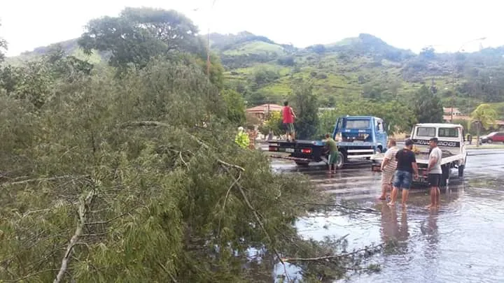 Temporal derruba árvores e interrompe passagem pela PRF de Gravatal