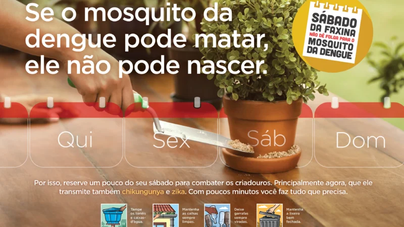 Aumentam os focos da dengue em Araranguá