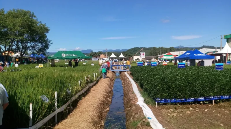 15º Campo Agroacelerador começou hoje