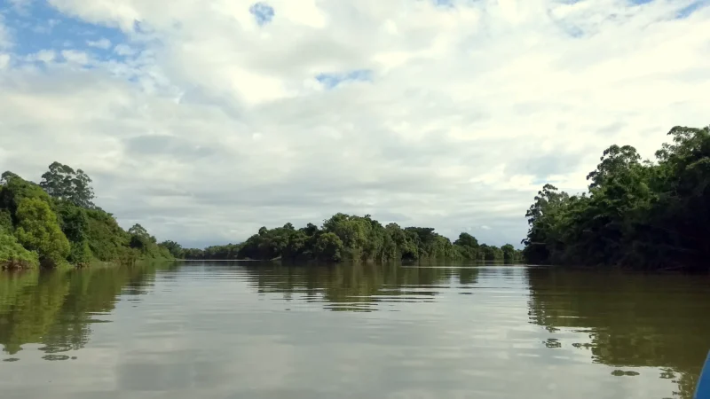 Fama organiza ação de limpeza nas margens do rio Araranguá