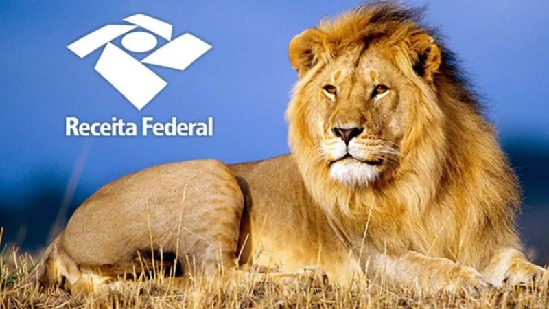 98% das declarações do IR foram entregues em SC