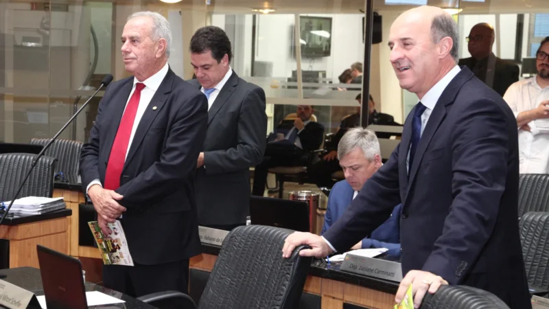 Arroz integral e farinha de arroz foram inclusas na cesta básica de Santa Catarina
