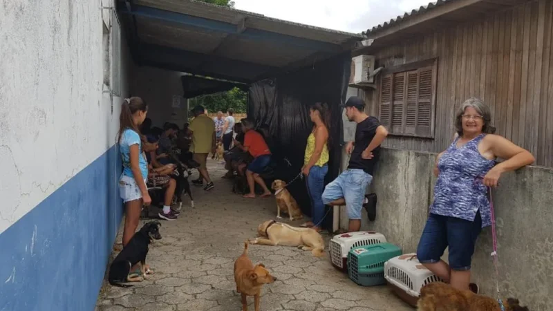 Fama promove novo mutirão com clínica itinerante