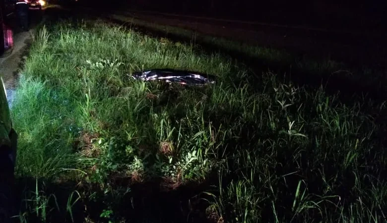 Homem morre atropelado na BR 101