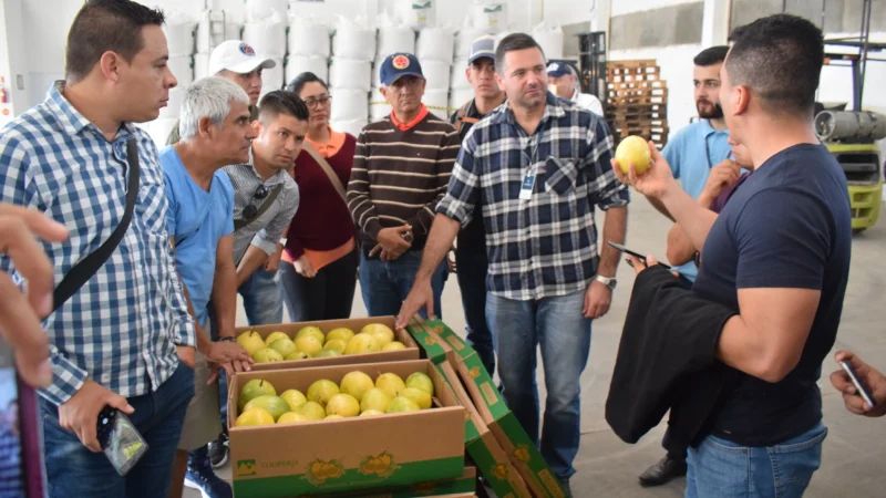 Colombianos estão fazendo intercâmbio nos municípios da região sul