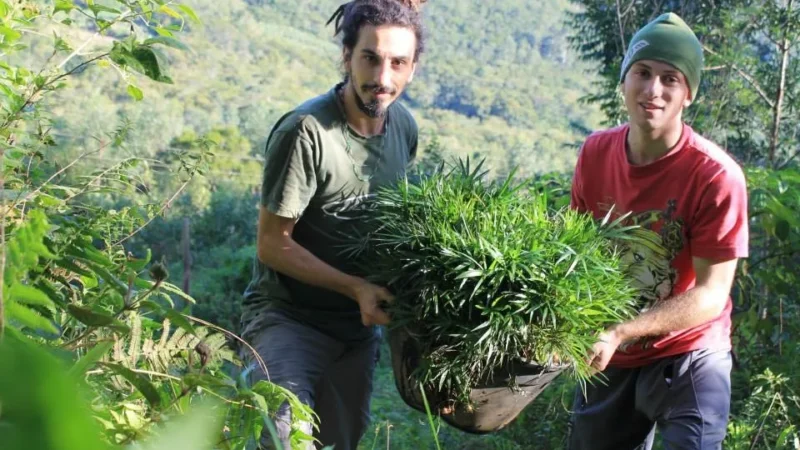 Semana Verde: professor constrói sítio vislumbrando preservação