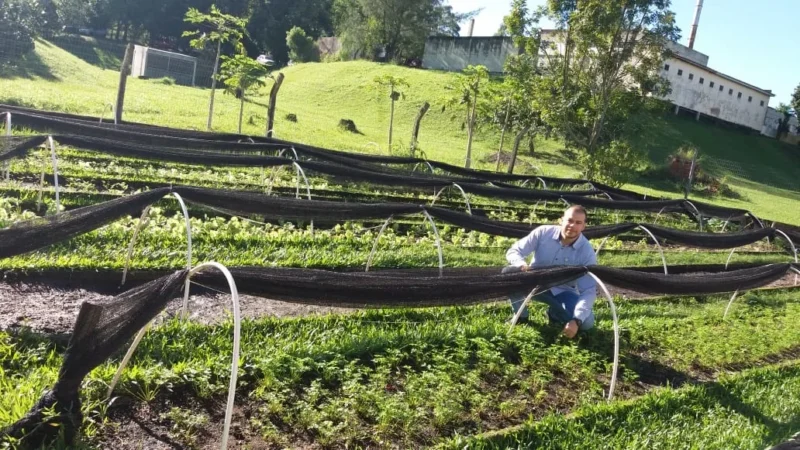 Hospital une saúde e ecologia em horta sustentável