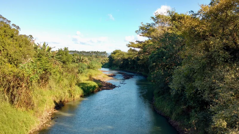 A semana do Meio Ambiente e o reforço pela preservação
