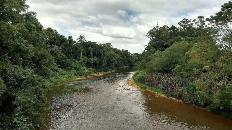 Comitê defende preservação ambiental integrada