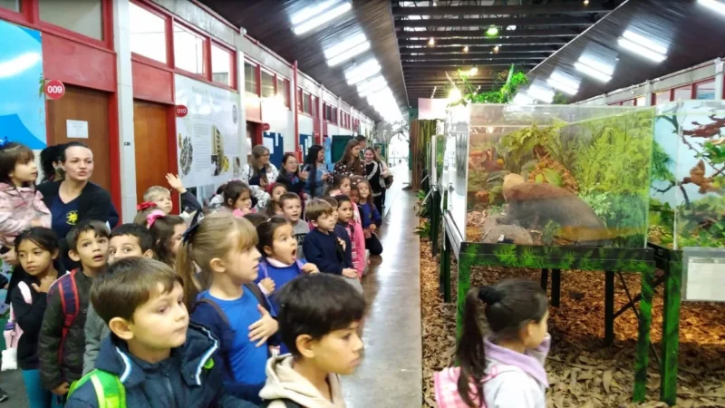 Museu de Zoologia da Unesc recebe visita de alunos de Jacinto Machado