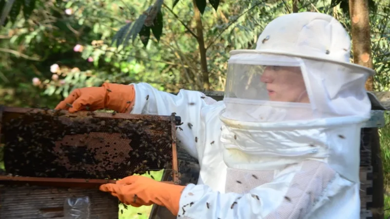 Epagri vence em seis categorias do Prêmio Expressão de Ecologia e se firma como a maior campeã da história da premiação