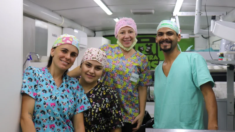 182 animais foram castrados em mutirão de castração