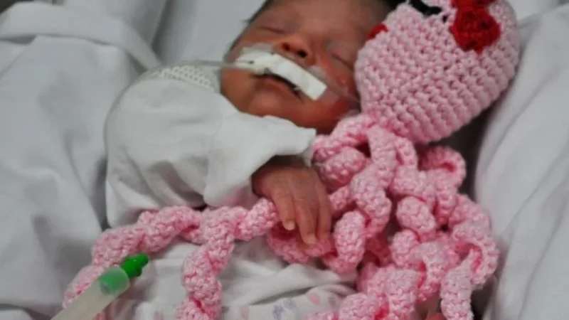 Hospital materno infantil lança campanha Polvos do Amor para os bebês da UTI