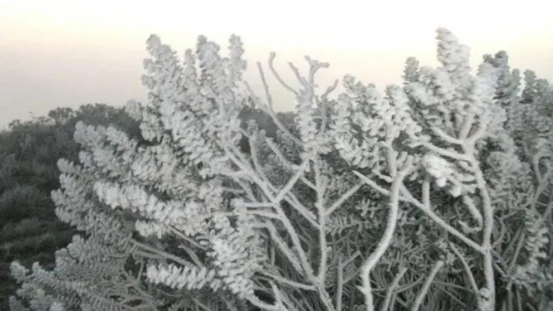 Final de semana deve ser de frio intenso