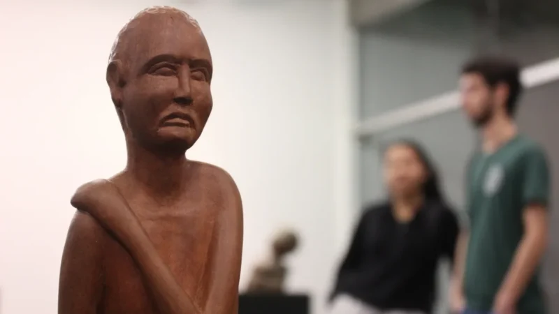 Unesc recebe exposição de Gil Galant
