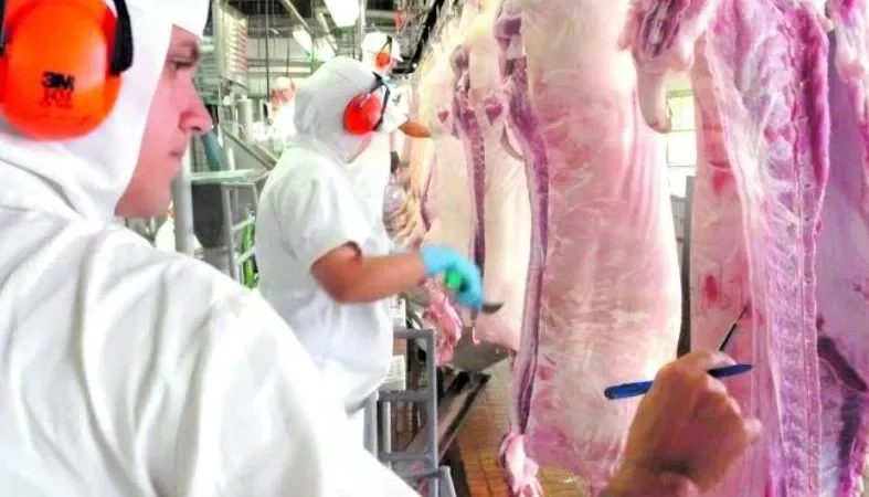 SC representa 58% das exportações brasileiras de carne suína