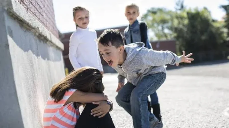 Bullying é assunto de projeto na Câmara de Vereadores
