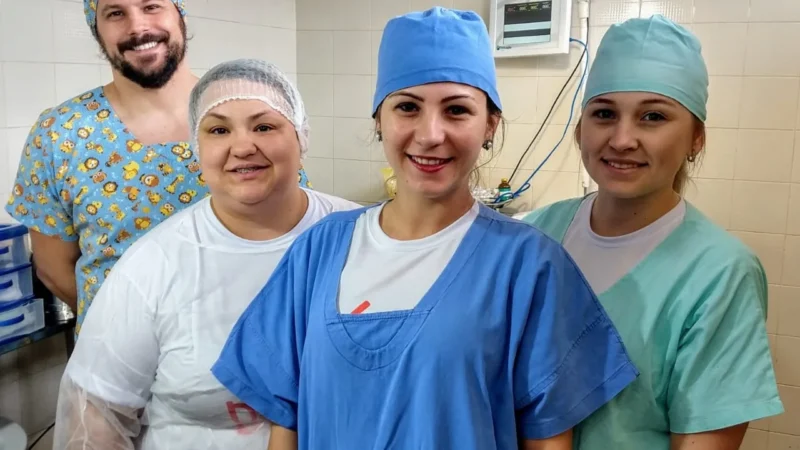 Mais de 80 animais foram esterilizados em mutirão de castração de Jacinto Machado