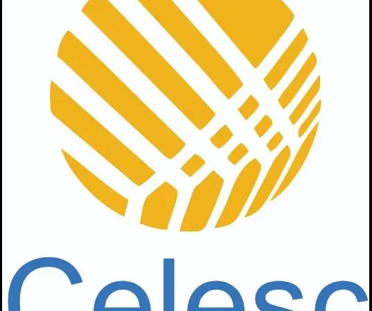 Associação Catarinense de Autismo recebe R$ 155 mil da Celesc