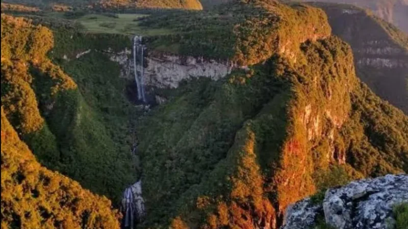 Encontro reunirá condutores do sul brasileiro