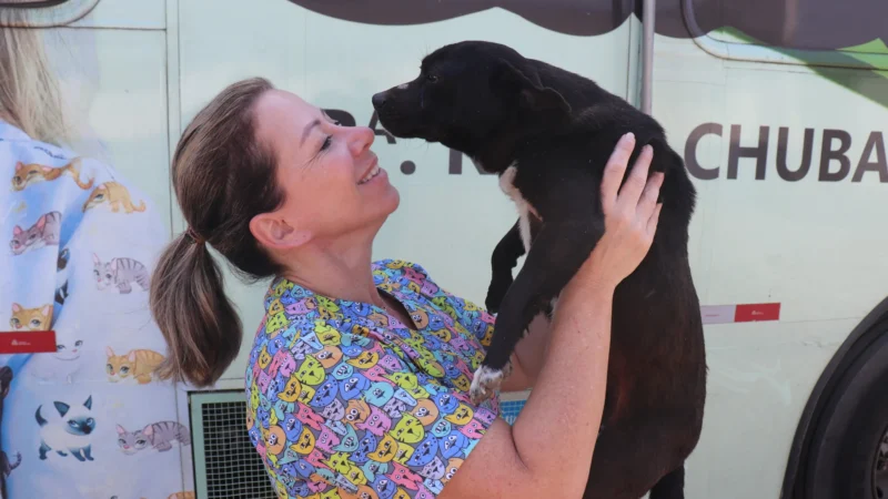 Mutirão de Castração no bairro Lagoão em Araranguá