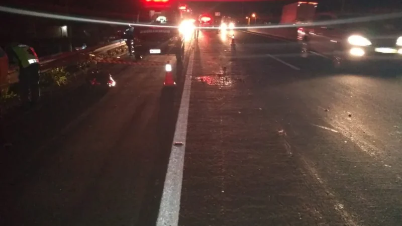 Mulher morre atropelada na BR-101