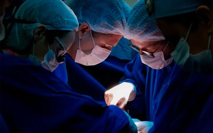 Santa Catarina registra recordes em doações e transplantes de órgãos em 2019