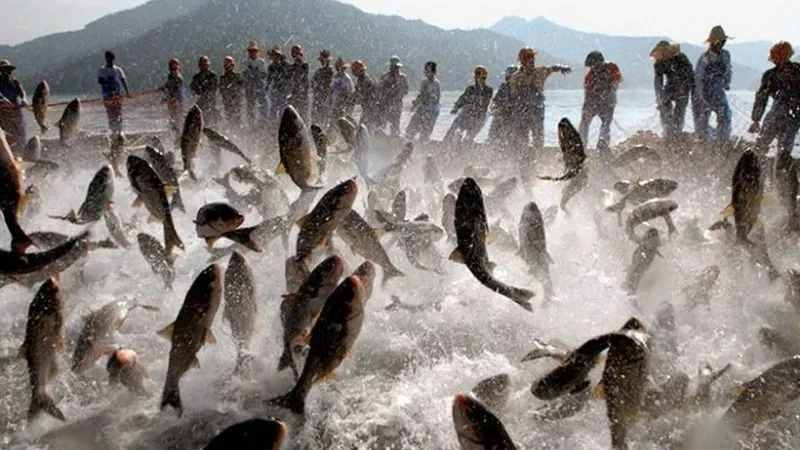 SC cria linha de crédito para maricultores e pescadores