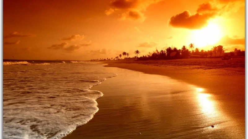 LITORAL CATARINENSE TÊM 71,0% DAS PRAIAS PRÓPRIAS PARA BANHO