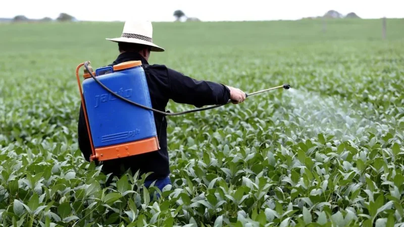 SC investirá R$ 1,2 milhão no controle e monitoramento de resíduos de agrotóxicos