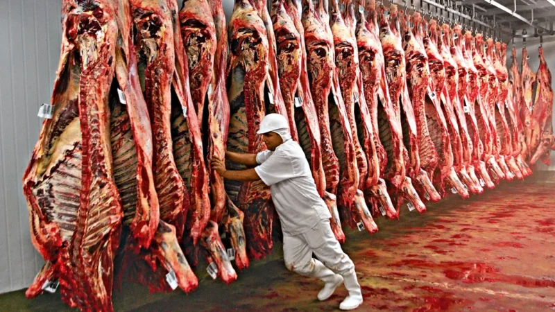 Exportação de carnes mantém números positivos apesar de crise