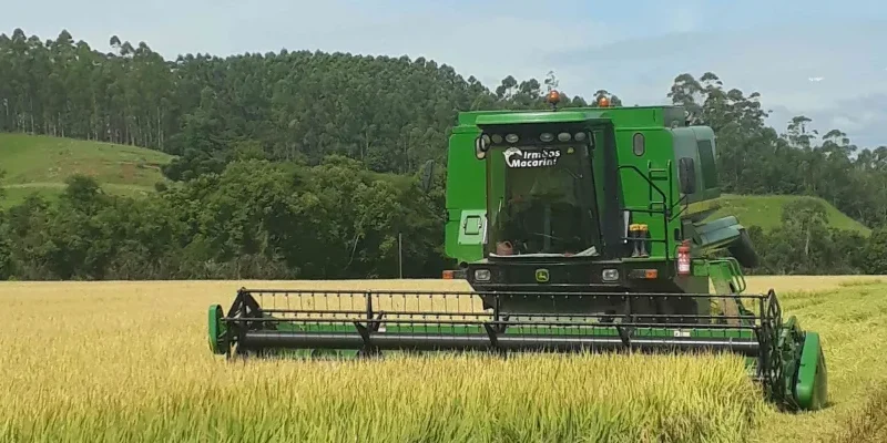 Cooperja celebra 4 anos com recebimento superior a 4 milhões de sacas de arroz