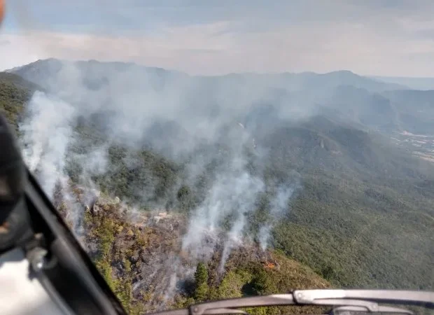 Incêndios em vegetação no estado crescem 407% em 2020