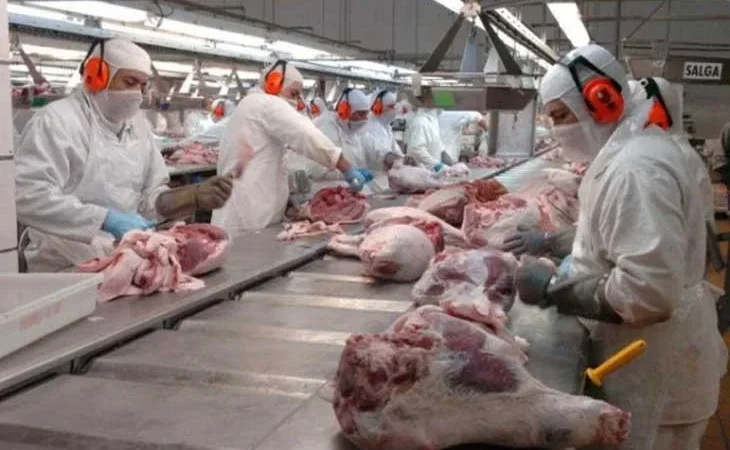Casos de Covid-19 em frigoríficos colocam em risco animais de produção