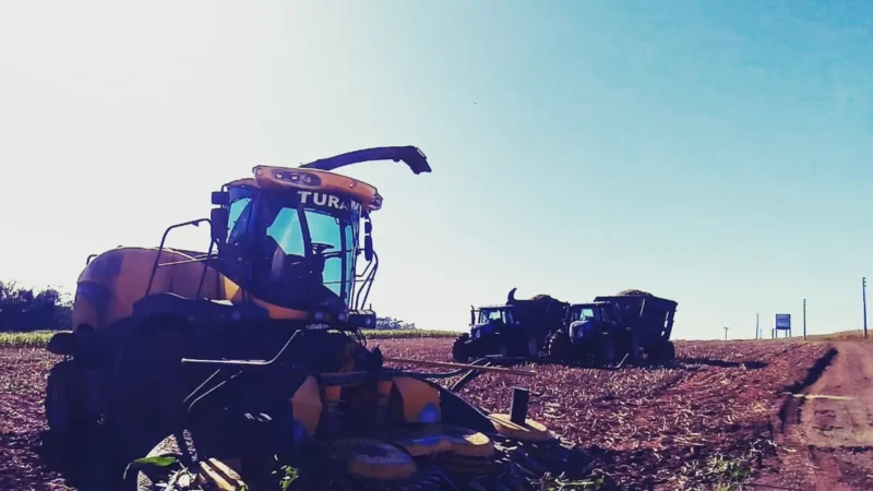 Alta no agronegócio ameniza queda nas exportações de SC em 2020