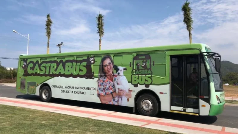 Parceria entre Prefeitura e ONG Bicho feliz traz o Castrabus para o Arroio