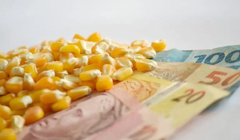 Programa de Seguro Rural: confira relação de produtores beneficiados