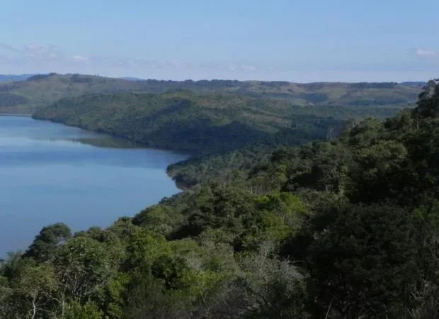 Epagri celebra Semana do Meio Ambiente com programação online