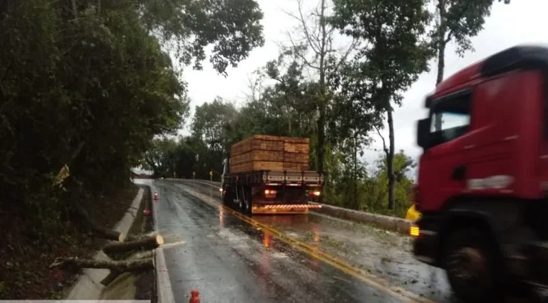 Vídeo mostra primeiros rastros de ciclone na Serra Gaúcha