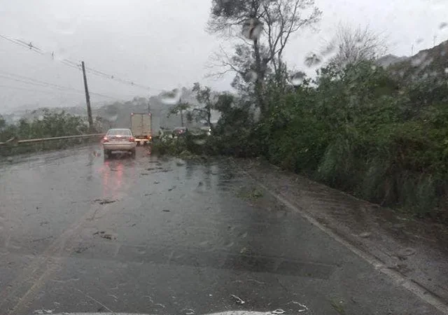 Vendaval causa estragos no oeste catarinense, veja vídeo