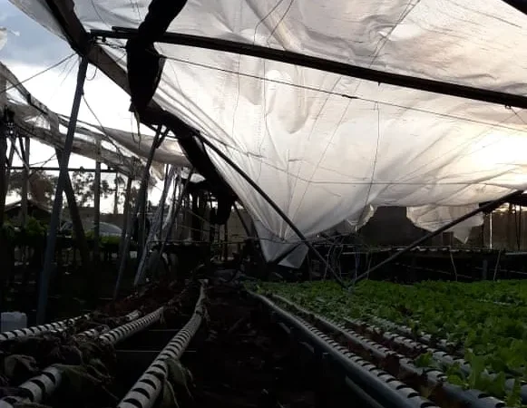 Epagri calcula prejuízos na agricultura da região