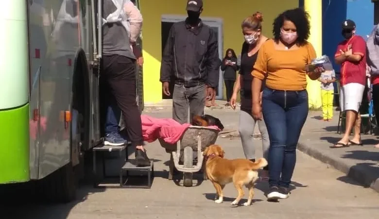 Arroio realiza a 5ª etapa do Mutirão de Castração de animais de rua