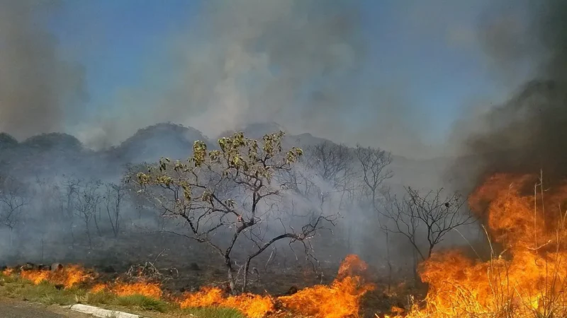 Queimadas irregulares causam danos ao sistema elétrico em Santa Catarina