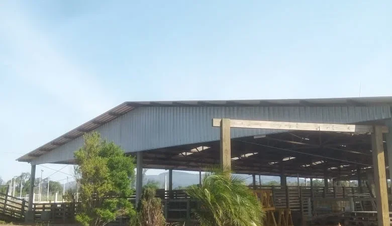 Cooperja investe em arborização de seu Campo Demonstrativo