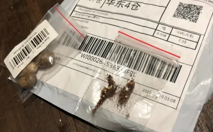 Agência americana identifica sementes chinesas