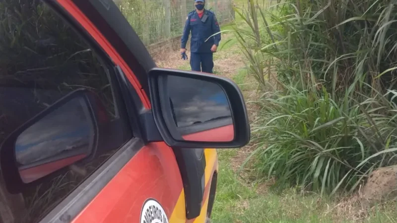 Bombeiros fazem buscas por homem perdido em mata de Praia Grande
