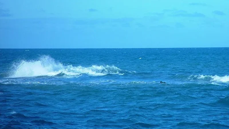 Pescador fica ferido ao cair em hélice de barco